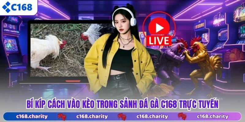 Bí kíp cách vào kèo trong sảnh đá gà C168 trực tuyến