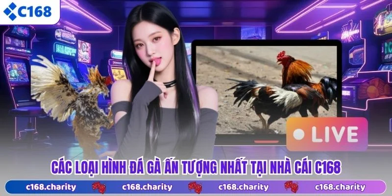 Các loại hình đá gà ấn tượng nhất tại nhà cái C168