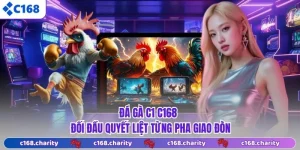 Đá Gà C1 C168 - Đối Đầu Quyết Liệt Từng Pha Giao Đòn
