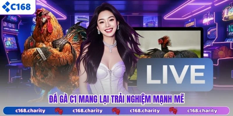 Đá gà C1 mang lại trải nghiệm mạnh mẽ