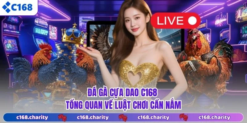 Đá Gà Cựa Dao C168 - Tổng Quan Về Luật Chơi Cần Nắm