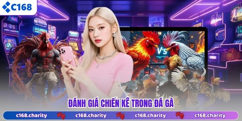 Đánh giá chiến kê trong đá gà 