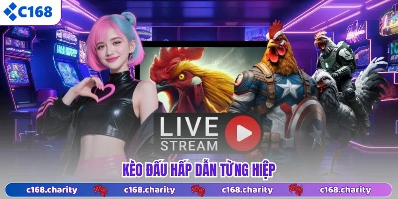 Kèo đấu hấp dẫn từng hiệp