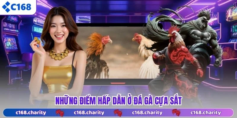 Những điểm hấp dẫn ở đá gà cựa sắt