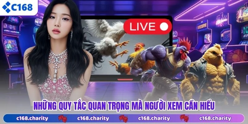 Những quy tắc quan trọng mà người xem cần hiểu