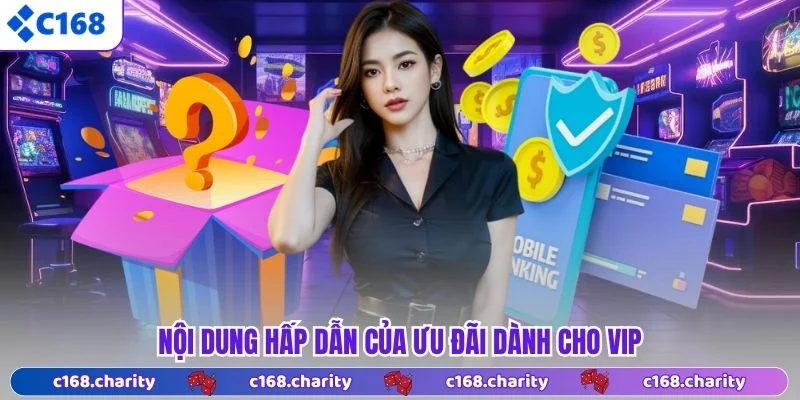 Nội dung hấp dẫn của ưu đãi dành cho VIP