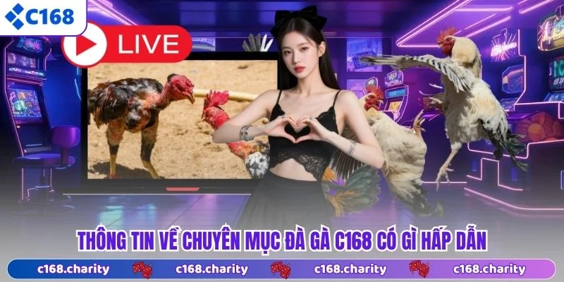 Thông tin về chuyên mục đà gà C168 có gì hấp dẫn